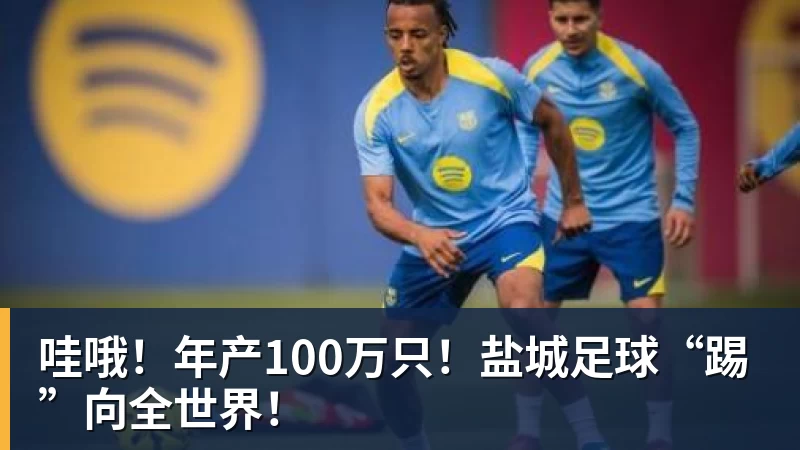 九游体育哇哦！年产100万只！盐城足球“踢”向全世界！